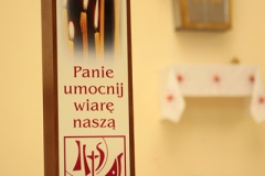 Misje parafialne 2013